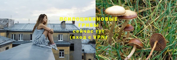 гидра Армянск