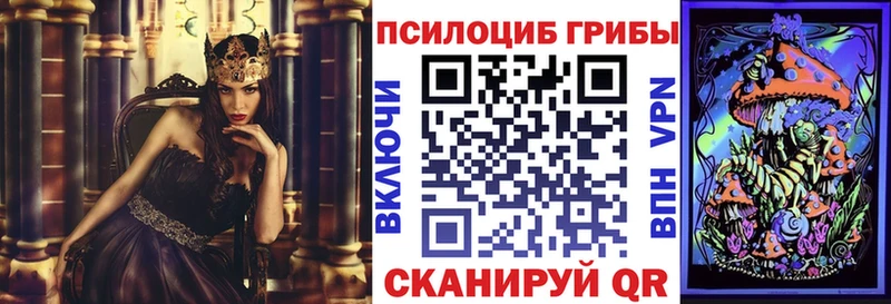 Галлюциногенные грибы мицелий  Сорочинск 